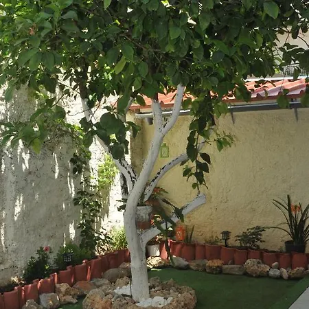 Demi'S Garden Near The Metro Of Athens-2